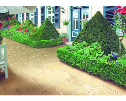 Allée de jardin avec pavés et haies taillées