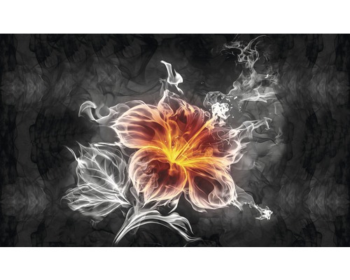Papier peint panoramique intissé fleur incandescente 312 x 219 cm Motif floral décoratif sur fond sombre
