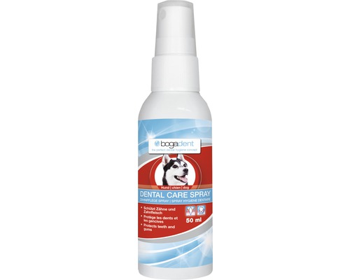 Spray buccal bogadent Dental Care Spray, 50 ml Bogadent spray de soin dentaire pour chiens, 50 ml