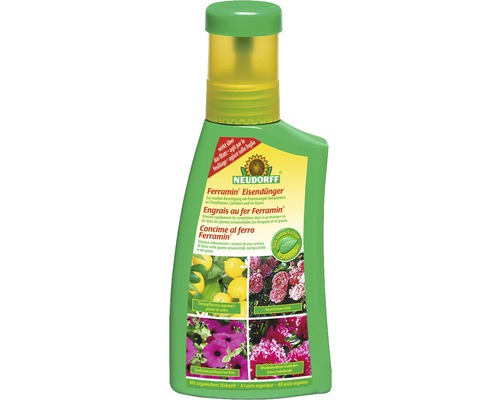 Engrais au fer Ferramin® Eisendünger Neudorff 250 ml Neudorff Ferramin Engrais de fer en bouteille verte