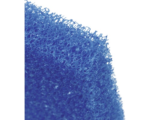 Mousse filtrante JBL grossière 50x50x2,5 cm bleu