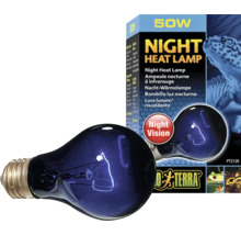 Exo Terra Night Heat Lamp 50 Watt zur Wärmeversorgung von Terrarien