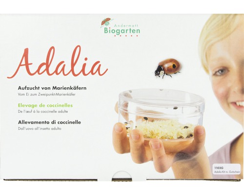Adalia Aufzuchtset für Marienkäfer