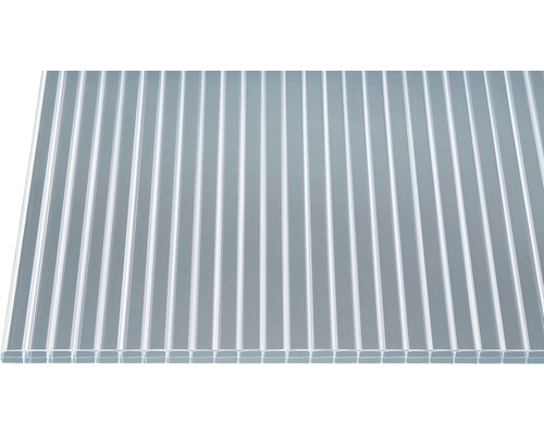 Doppelstegplatte aus Polycarbonat