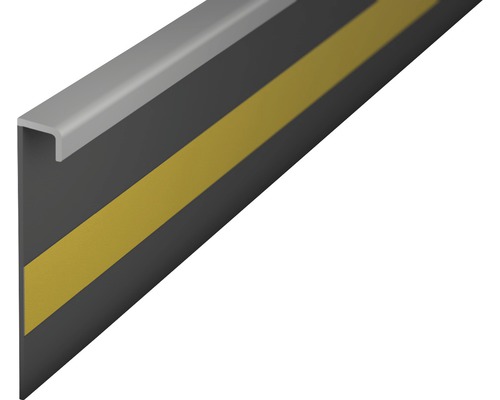 Plinthe pour moquette Prinz à coller sans barre gris argent 50x2500 mm Protection murale avec marquage