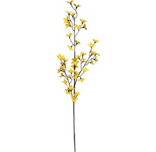 Branche de fleurs ornementales décorative avec des fleurs jaunes.