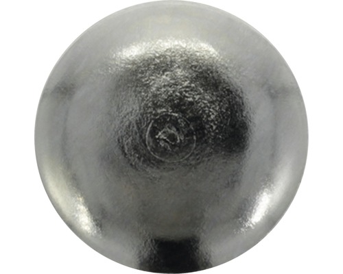 Tarrox Patin en métal avec clou 20 mm rond nickelé 16 pièces