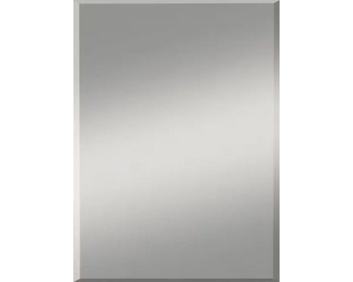 Kristallspiegel Gennil 40x60 cm Kristallspiegel Gennil 40x60 cm