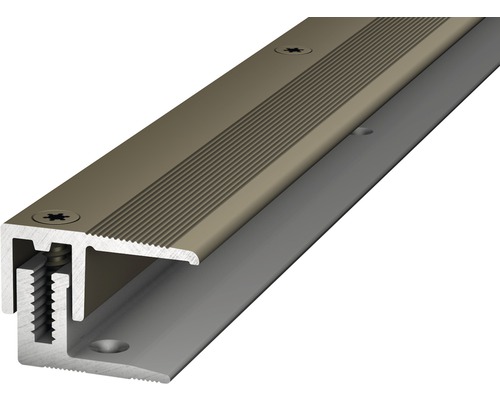 Profilé de finition alu acier inoxydable 22x900 mm Profilé de bordure d''escalier en aluminium avec vis pour une fixation sûre