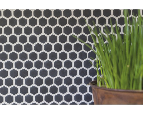 Carrelage mural avec motif hexagonal et plante