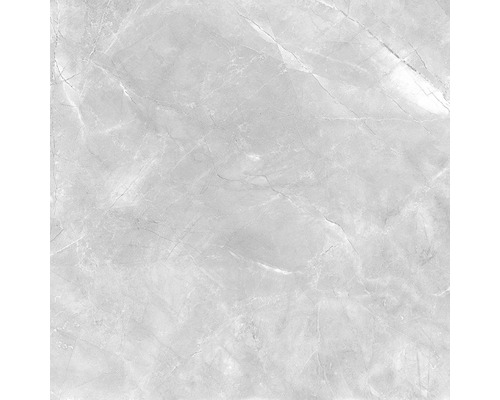 Carrelage de sol en grès cérame fin Premium Marble Messina gris 60x60 cm