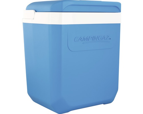 Glacière avec couvercle