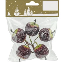Dekorative Kunstfrüchte im Beutel, Winterdekoration