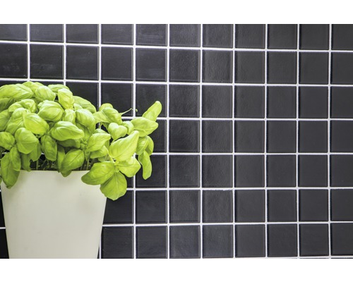 Mur de carreaux noirs avec plante de basilic en pot