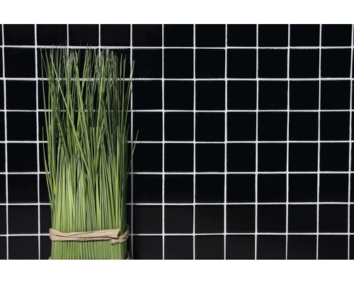 Touffe d''herbe devant un fond de carreaux noirs