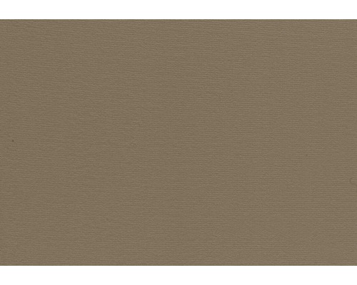 Moquette Velours Verona brun clair 400 cm de largeur (marchandise au mètre)