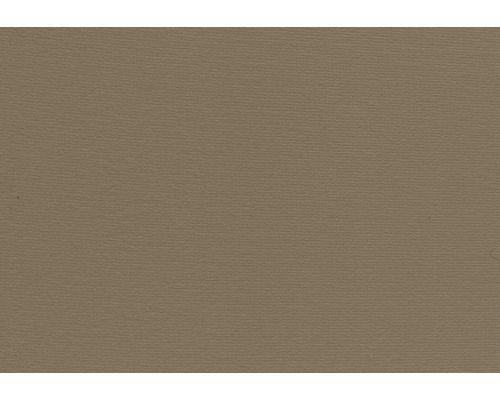 Moquette Velours Verona marron clair FB38 largeur 400 cm (au mètre) Surface unie beige pour projets de bricolage