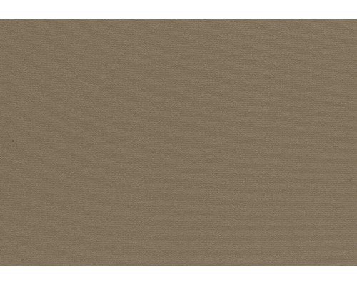 Moquette Velours Verona marron clair FB38 largeur 400 cm (au mètre)