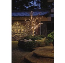 Arbre décoratif avec lumières dans l'espace extérieur d'une maison
