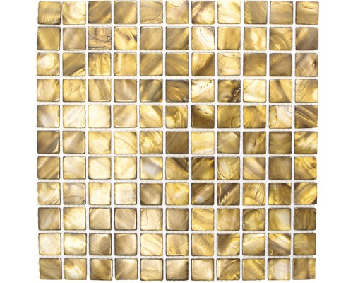 Mosaïque de coquillages SM 2569, MARRON-BEIGE, 30x30 cm Carreaux de mosaïque de verre carrés sur un filet