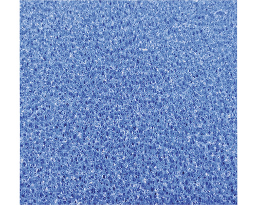 JBL Filterschaum grob 50x50x5 cm blau