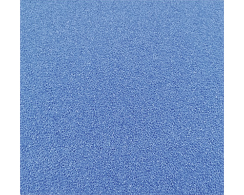 JBL Filterschaum fein 50x50x5 cm blau