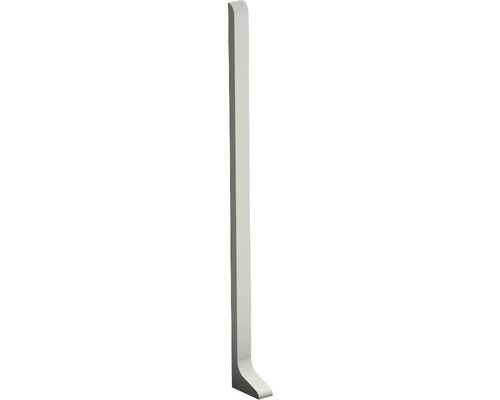 Pièce d'extrémité Prinz gauche pour plinthe en aluminium 11x100 mm titane (1 pce)