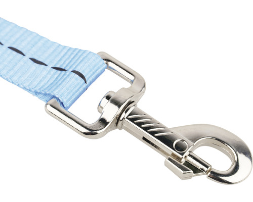 Detailansicht einer Hundeleine mit Karabinerhaken