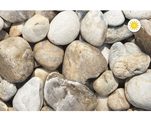 Galets de rivière décoratifs pour le jardin