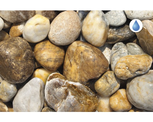 Gros plan sur des galets décoratifs