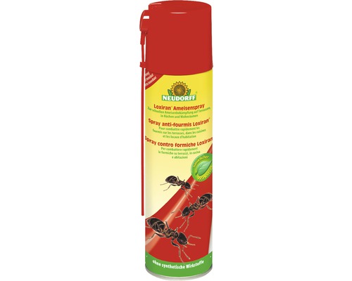 Spray anti-fourmis Loxiran Neudorff, 200 ml
