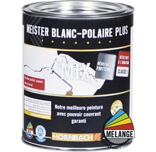 Meister Polar White Plus Farbe im Farbeimer