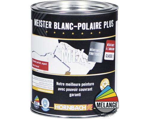 Peinture Meister Blanc Polaire Plus dans un pot de peinture