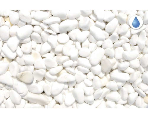 Galets décoratifs blancs