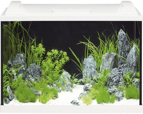 Aquarium EHEIM aquaproLED 84 mit LED-Beleuchtung, Filter, Heizer, Thermometer, Fangnetz ohne Unterschrank weiss