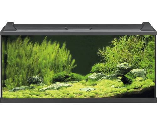 Aquarium EHEIM aquaproLED 180 avec éclairage à LED, filtre, chauffage, thermomètre, filet sans meuble bas noir