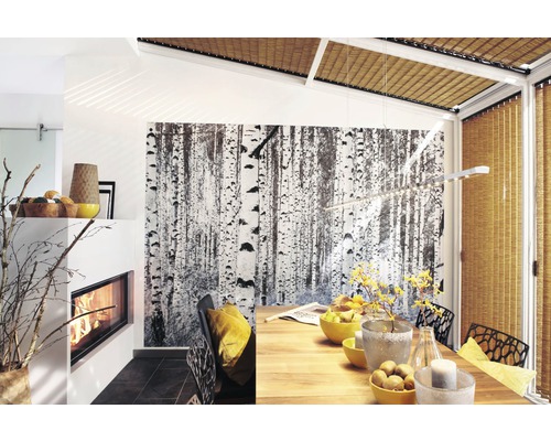 Salle à manger lumineuse avec cheminée, table en bois et papier peint forêt de bouleaux