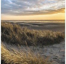 Strandszene mit Sand und Gras im Morgenlicht