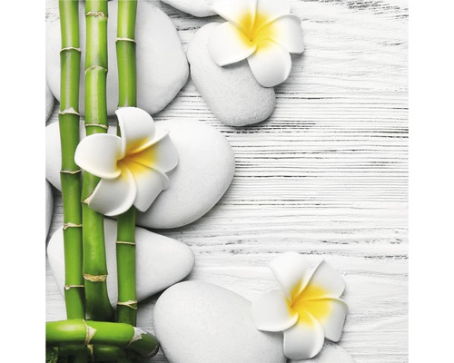 Tableau sur verre Flowers Stones Bamboos I 30x30 cm