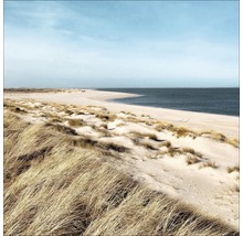 Dünenlandschaft am Strand mit Meer und blauem Himmel.