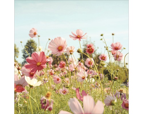 Glasbild Flowerfield I 50x50 cm
