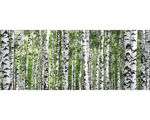 Glasbild Tree Trunk Collection 30x80 cm