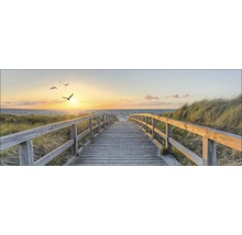 Holzsteg führt zum Strand mit Dünen und Sonnenuntergang