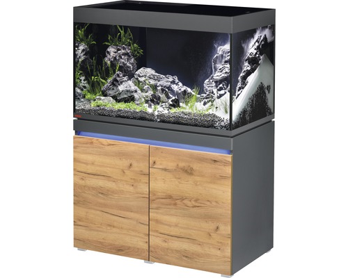 Ensemble d'aquariums EHEIM incpiria 330 avec éclairage à LED et meuble bas éclairé graphite/chêne