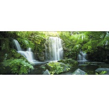 Wassergarten mit Wasserfall, Felsen und Pflanzen