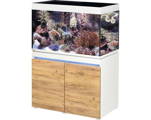 Kit complet d'aquarium EHEIM incpiria 330 marine avec éclairage à LED, pompe d'alimentation et meuble bas éclairé alpin/chêne