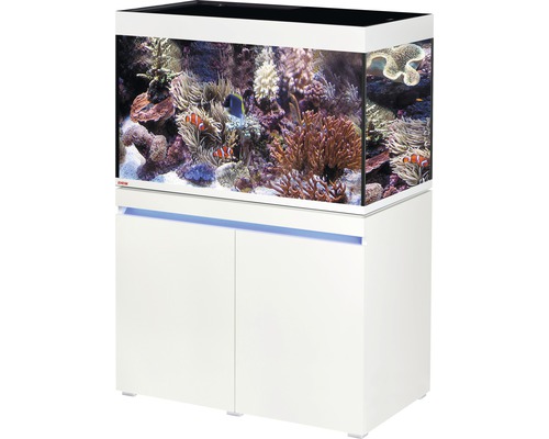 Kit complet d'aquarium EHEIM incpiria 330 marine avec éclairage à LED, pompe d'alimentation et meuble bas éclairé alpin