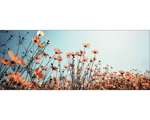Glasbild White & Red Flowers 50x125 cm
