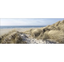 Dünenlandschaft mit Strandhafer und Meer