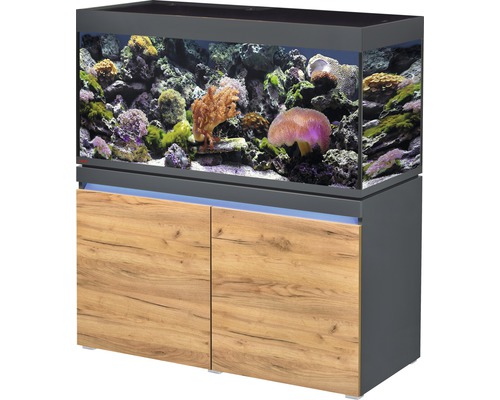 Kit complet d'aquarium EHEIM incpiria 430 marine avec éclairage à LED, pompe d'alimentation et meuble bas éclairé graphite/chêne